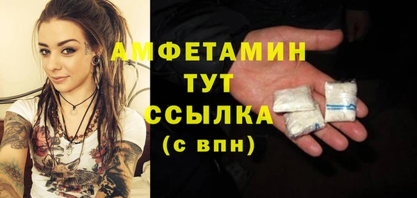 молекула духа Балахна