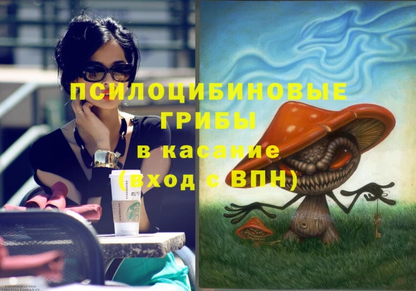 хмурый Арсеньев