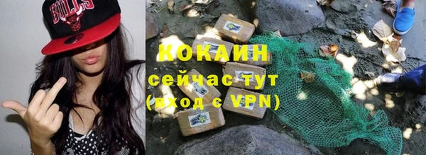 хмурый Арсеньев