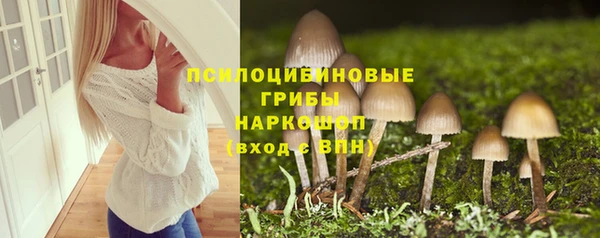 хмурый Арсеньев