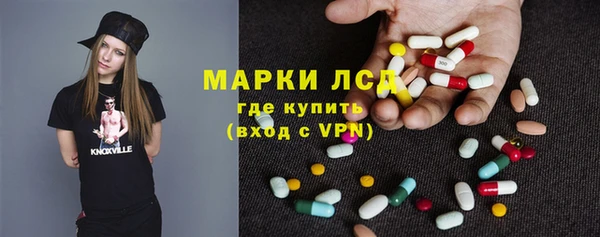 хмурый Арсеньев