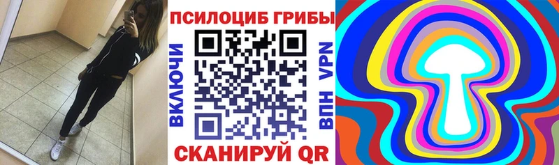 наркошоп  Лобня  Псилоцибиновые грибы Cubensis 
